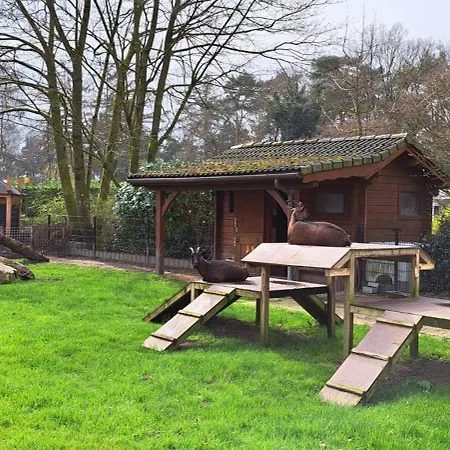 Dom wakacyjny Knabbel En Babbel *