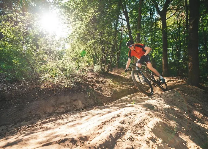 Dom wakacyjny Knabbel En Babbel *