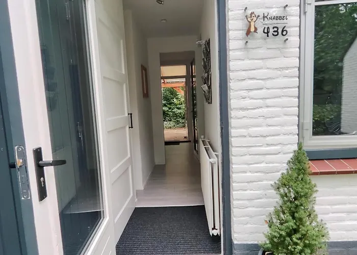 Knabbel En Babbel * 로헴