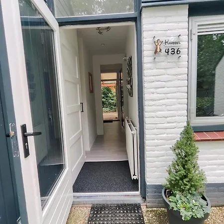 Knabbel En Babbel * 로헴