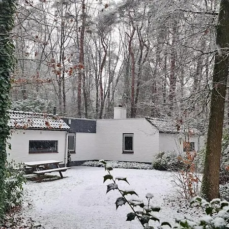 Knabbel En Babbel