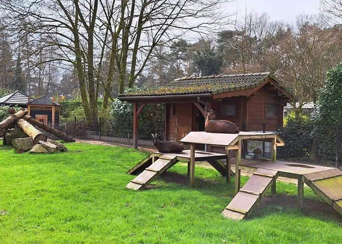 Ferienhaus Knabbel En Babbel *